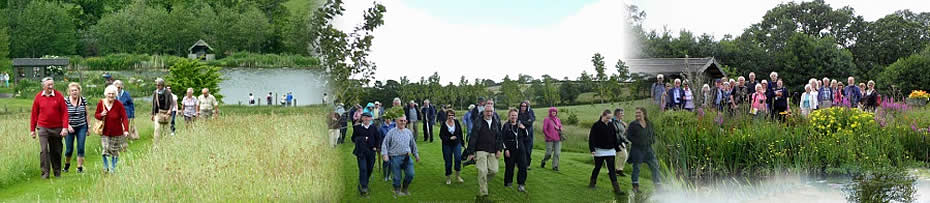 Visitors to Lethytep